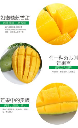 果脯罐装特产零食厂家批发 整箱批